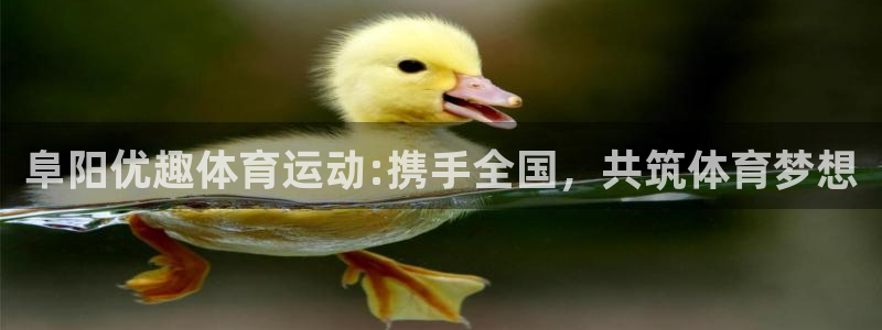 球速体育