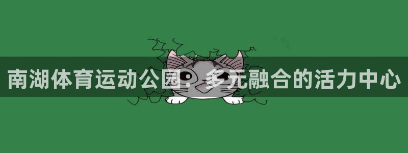 球速体育
