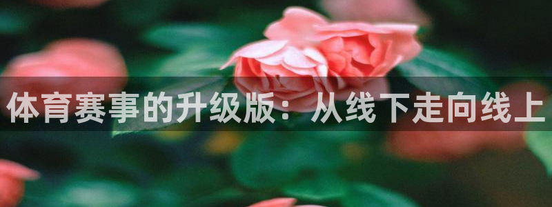 球速体育