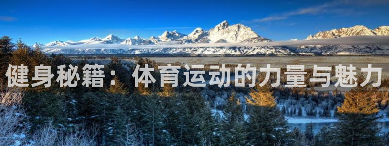 球速体育