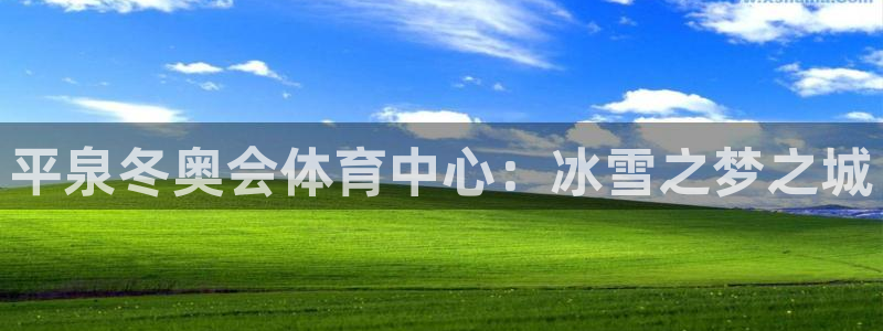 球速体育
