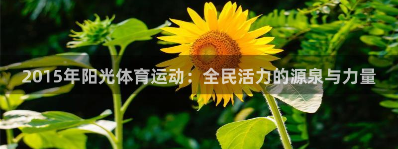 球速体育