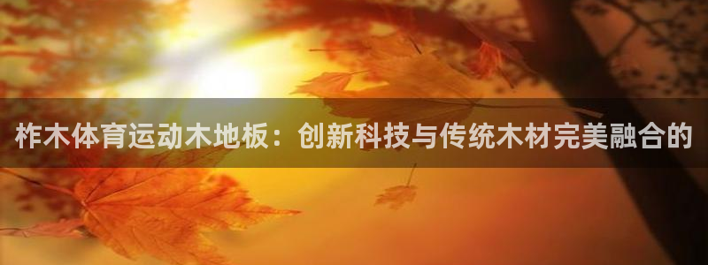 球速体育