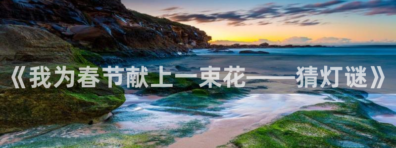 球速体育