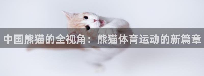 球速体育