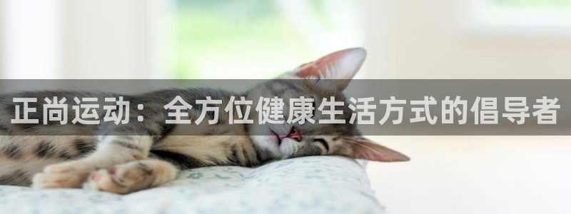 球速体育